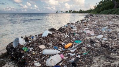 अध्ययन भन्छ : सन् २००५ पछि समुद्रमा प्लास्टिक प्रदूषण ‘अत्यधिक’ बढ्यो