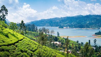 श्रीलंकाको पर्यटन आम्दानी बढ्यो